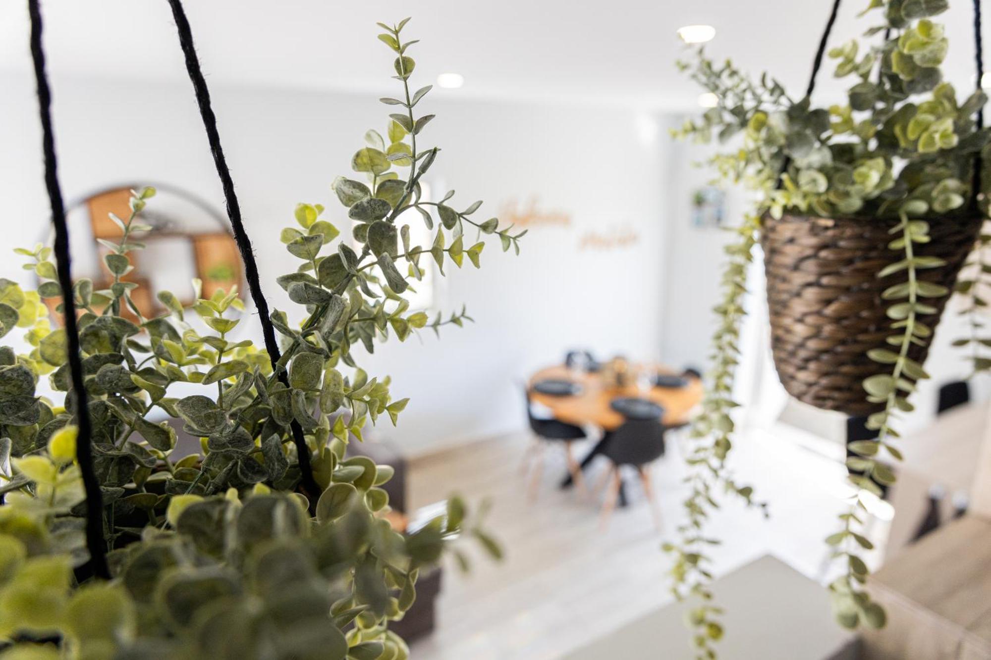 Av Curacao - Centrally Located Spacious Apartment Willemstad Eksteriør bilde